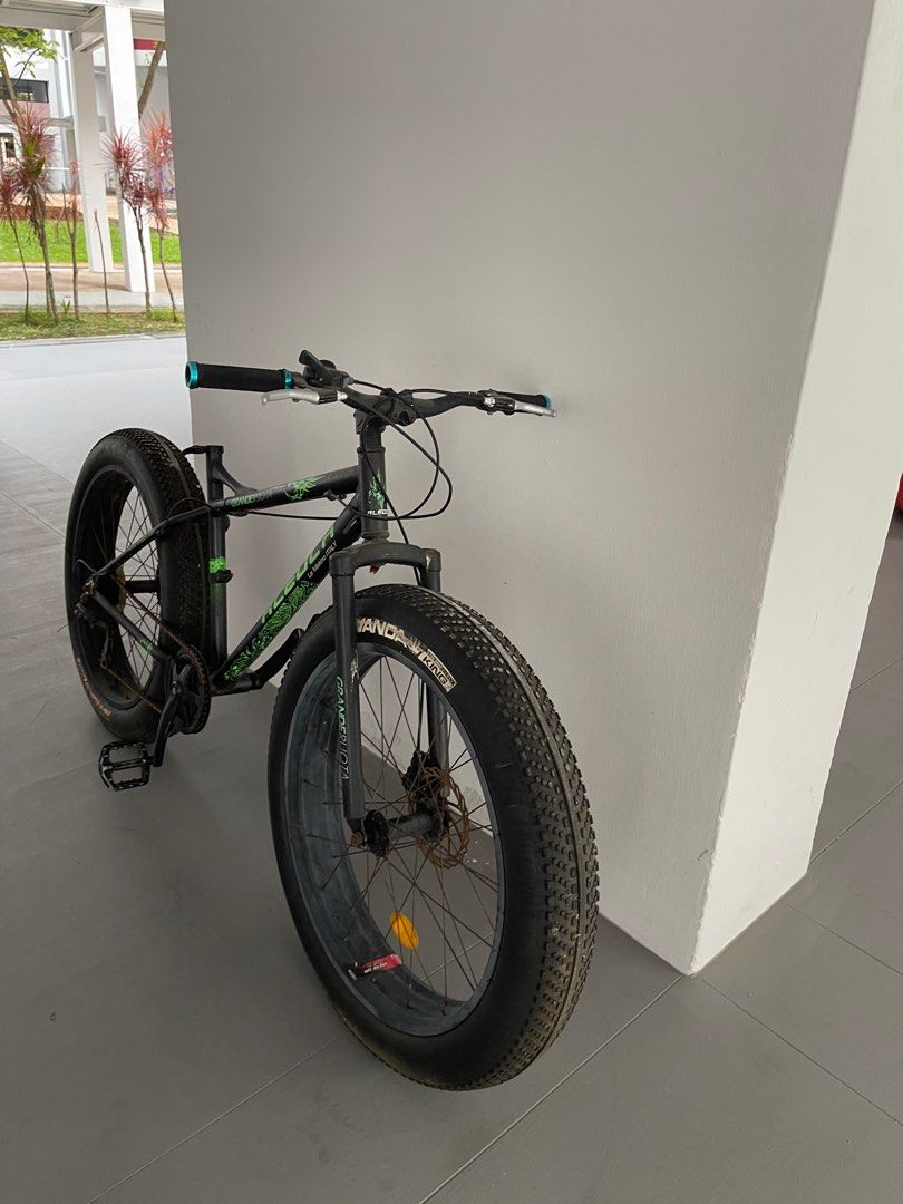 Aleoca fat bike on sale price