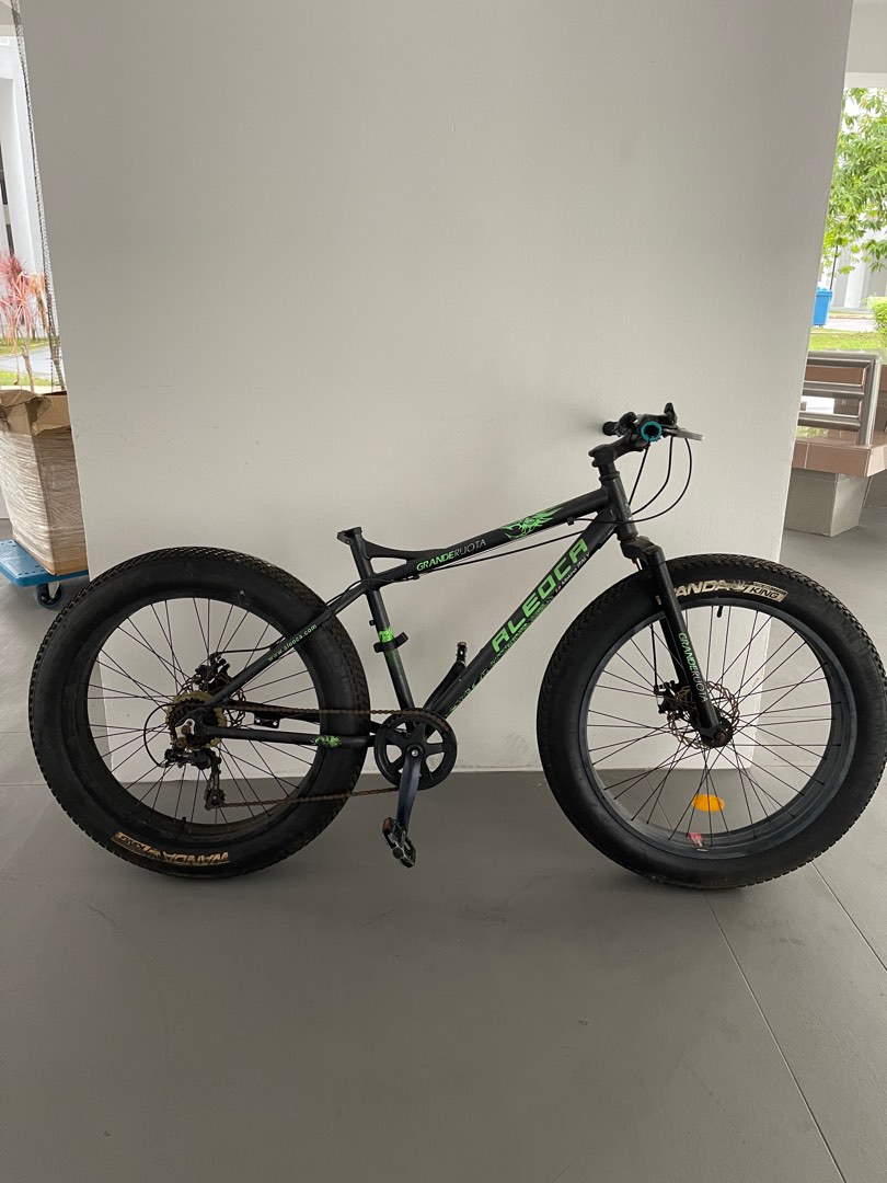 Aleoca top fat bike