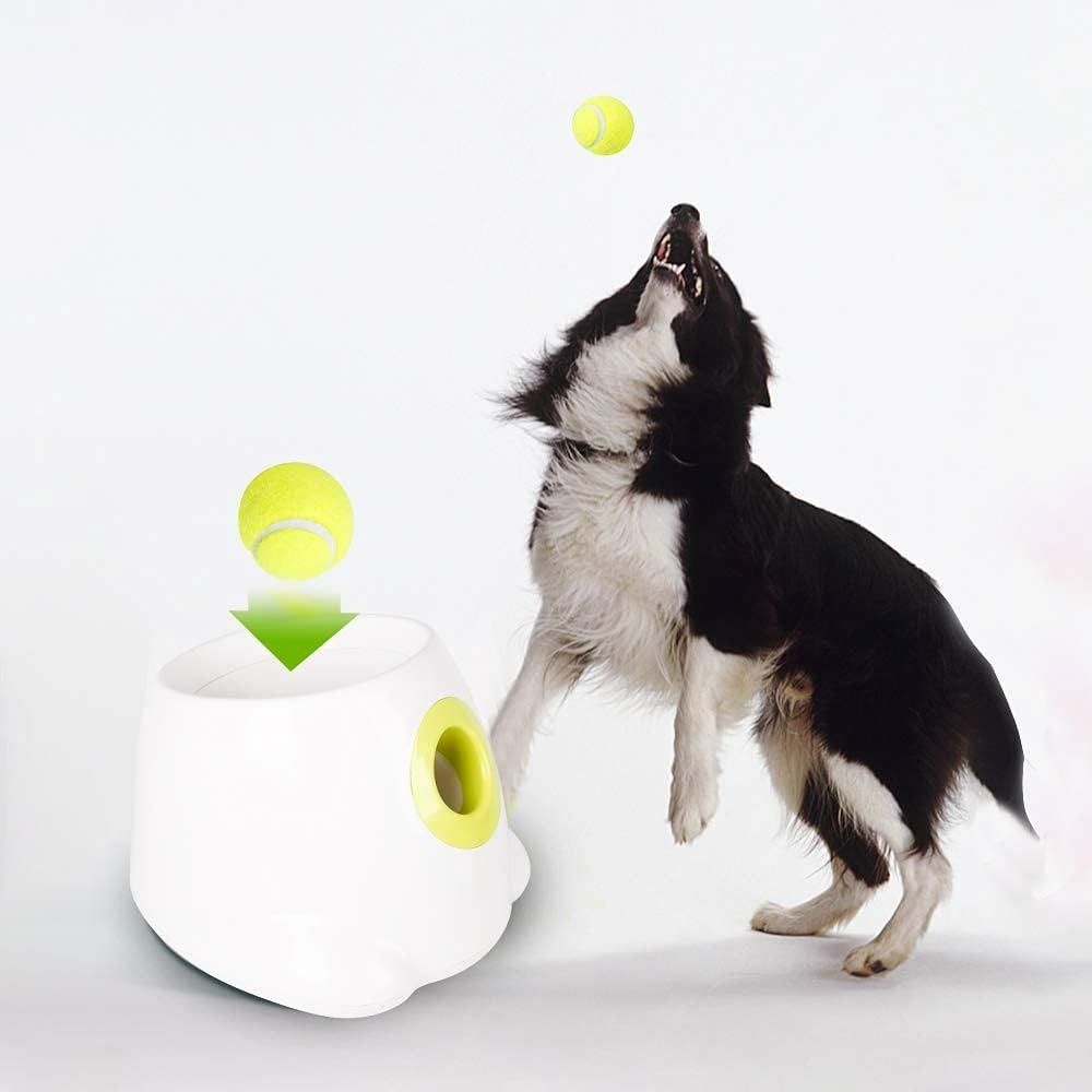 All for paws cheap maxi hyper fetch