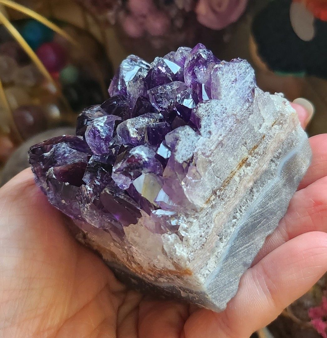 Purple store amethyst cluster