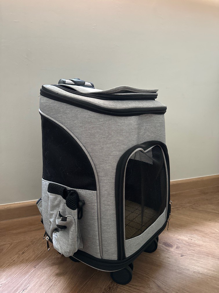 Cat Carrier, Pet Supplies, Homes & Other Pet Accessories on Carousell