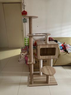 (Category: ) located in . Submitted by evietey26 (Listing ID 1264842408, Image 1). Description: .