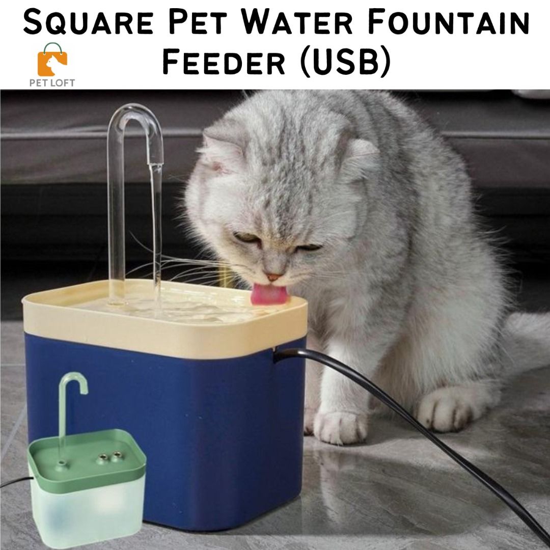 Electric water dish top