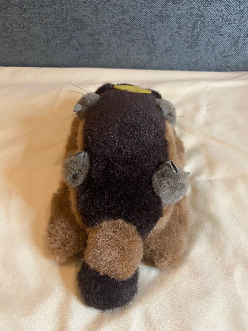 My Neighbor Totoro Catbus Toy