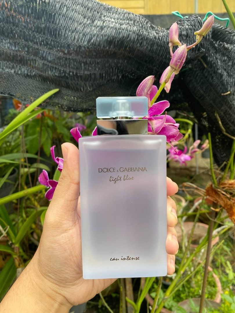 Dolce gabbana light blue intense femme 2025