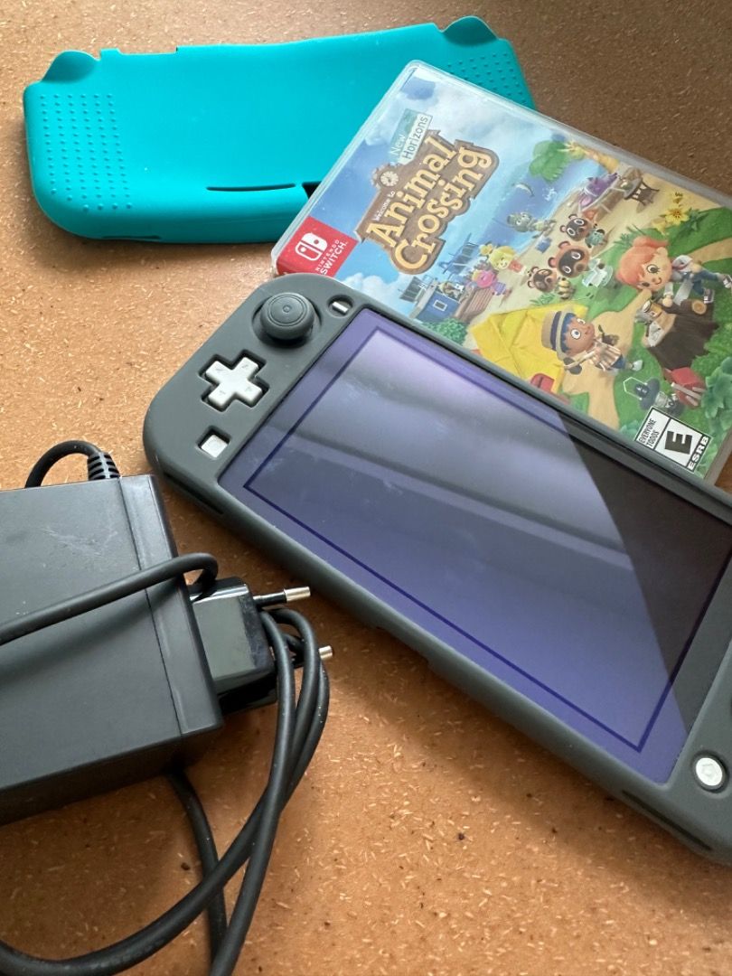 Animal crossing new horizons nintendo ds on sale lite