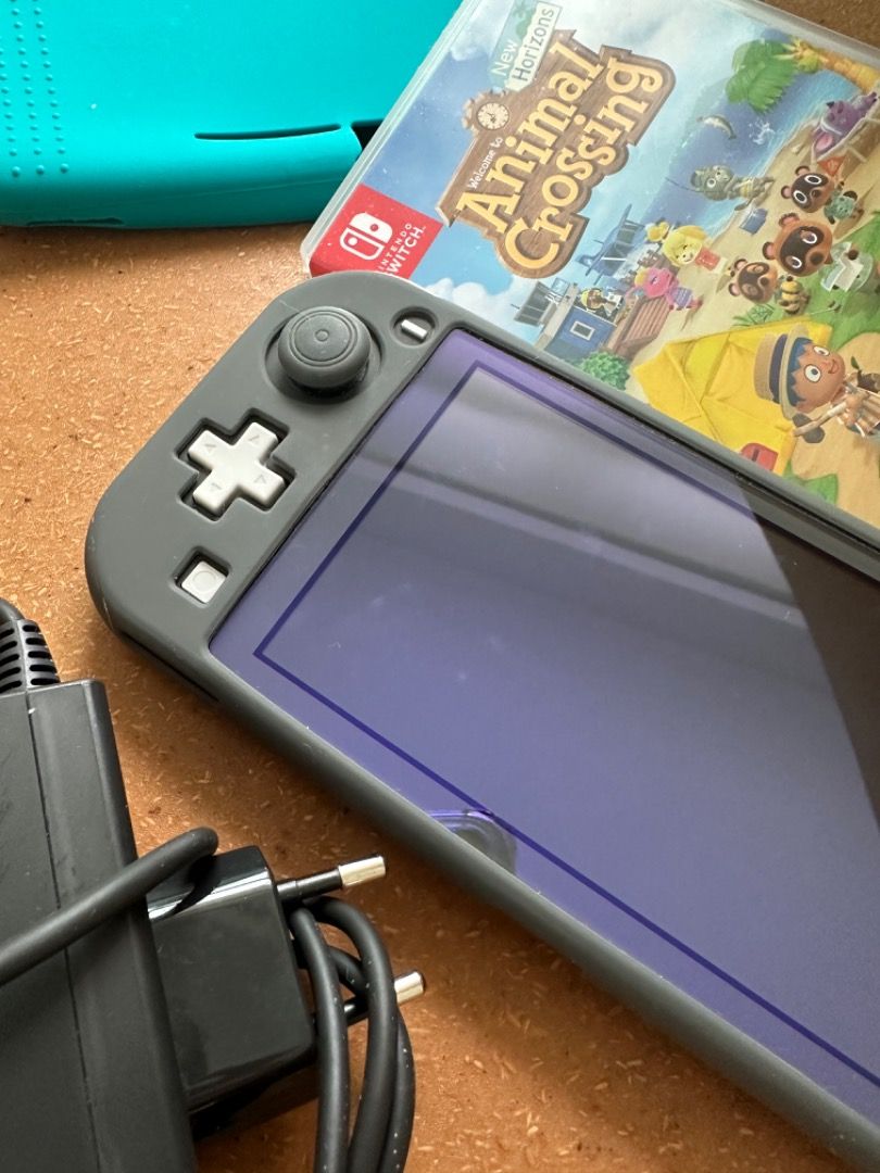Animal crossing new 2025 horizons ds lite