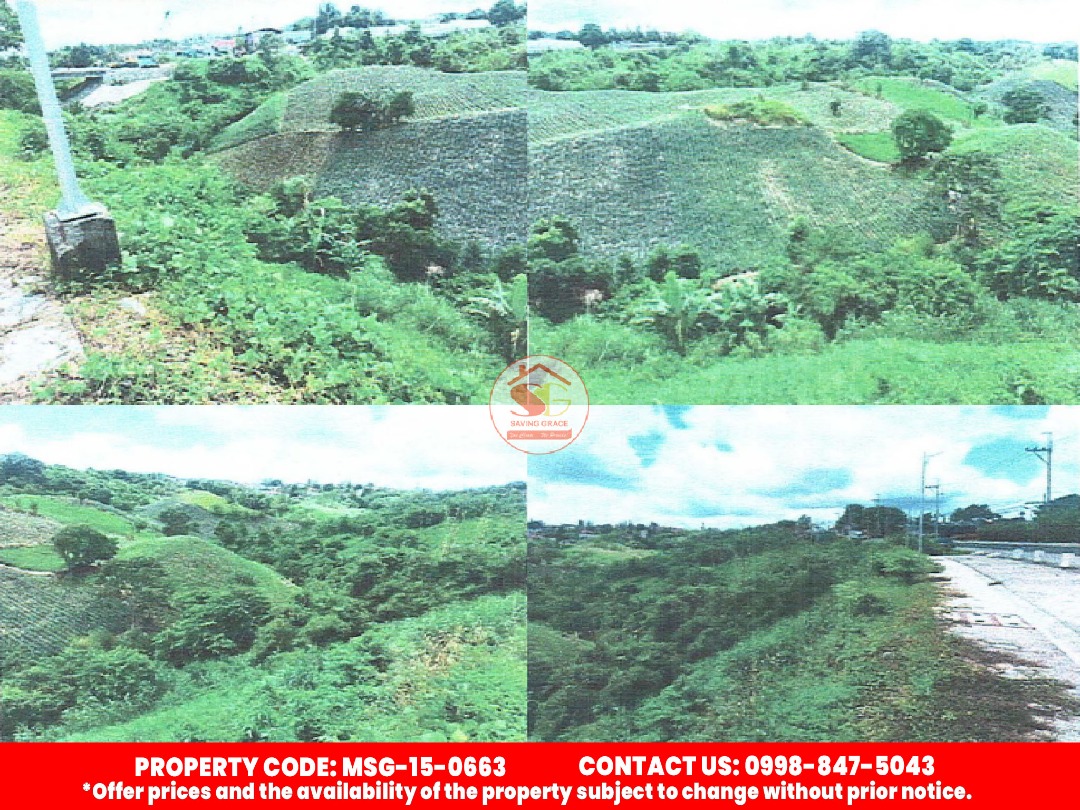 MSG150663 TagaytaySta. Rosa Road Brgy. San Francisco, Tagaytay City