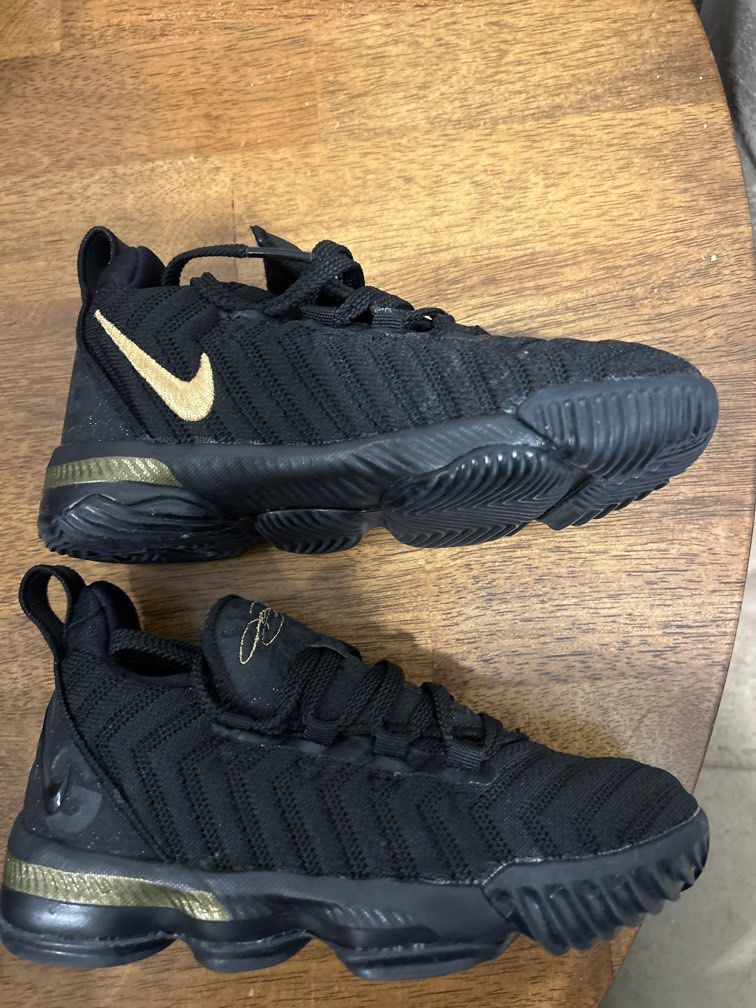 Lebron 2025 xvi ps