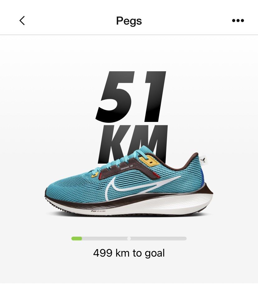 Nike pegasus store 93