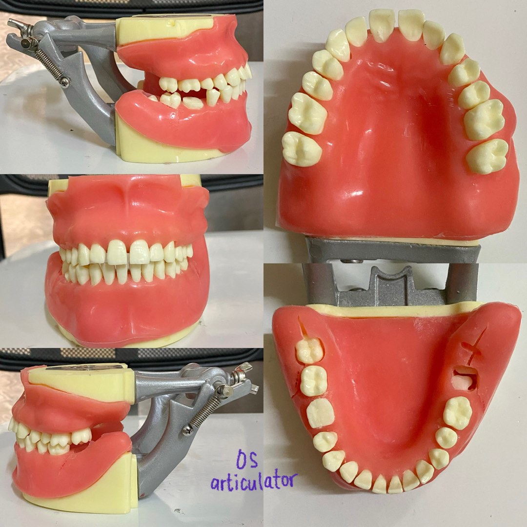 Oral surgery articulator, Everything Else, Others on Carousell