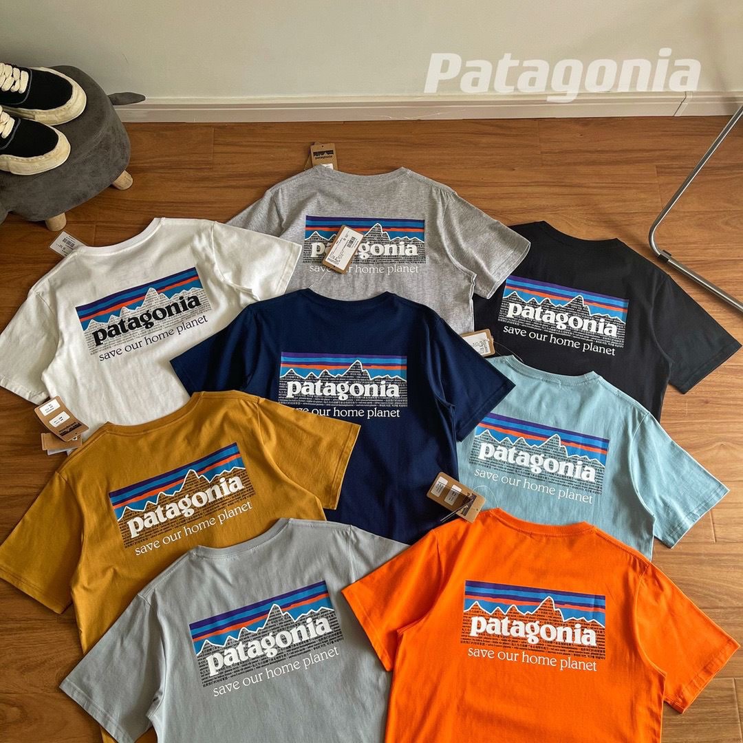 Patagonia Tee, 男裝, 上身及套裝, T-shirt、恤衫、有領衫- Carousell
