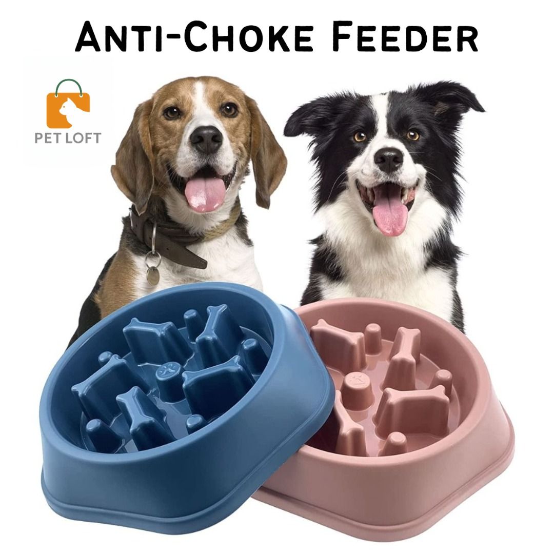 Anti choke bowl top