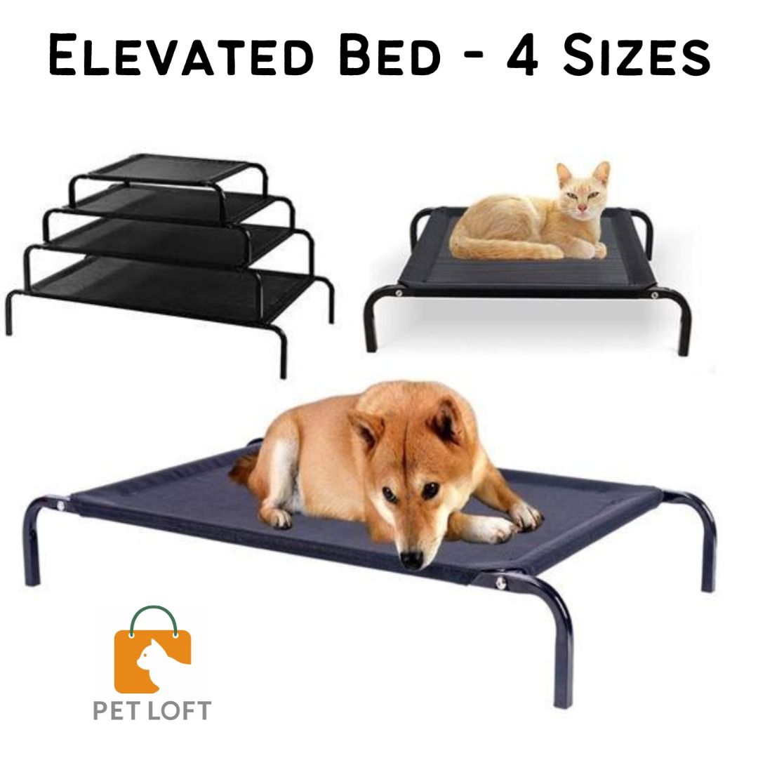 Elevated pet top bed near me