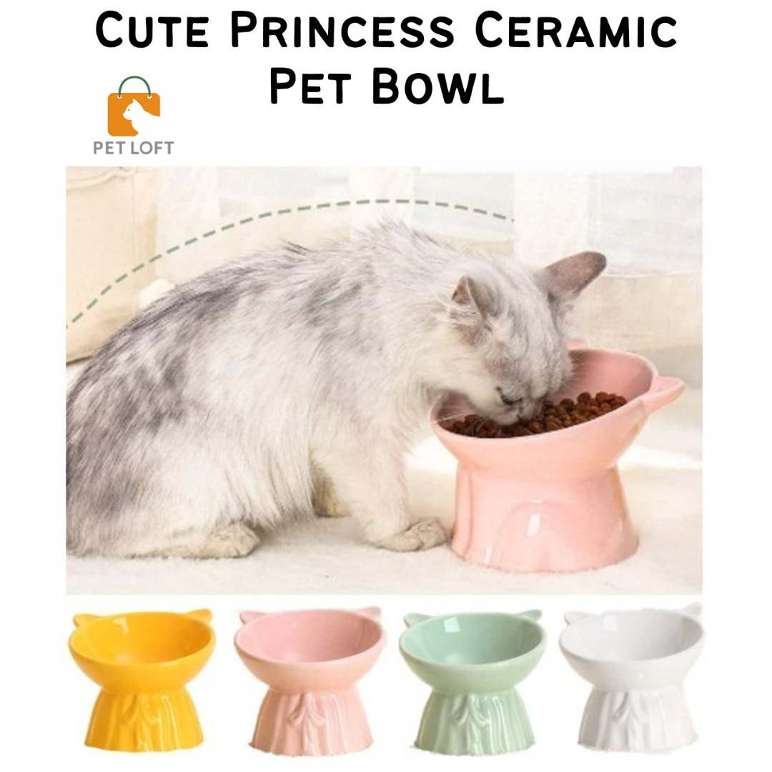 Princess store cat bowl
