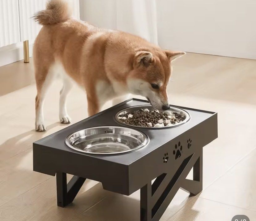 Elevated pet top food stands