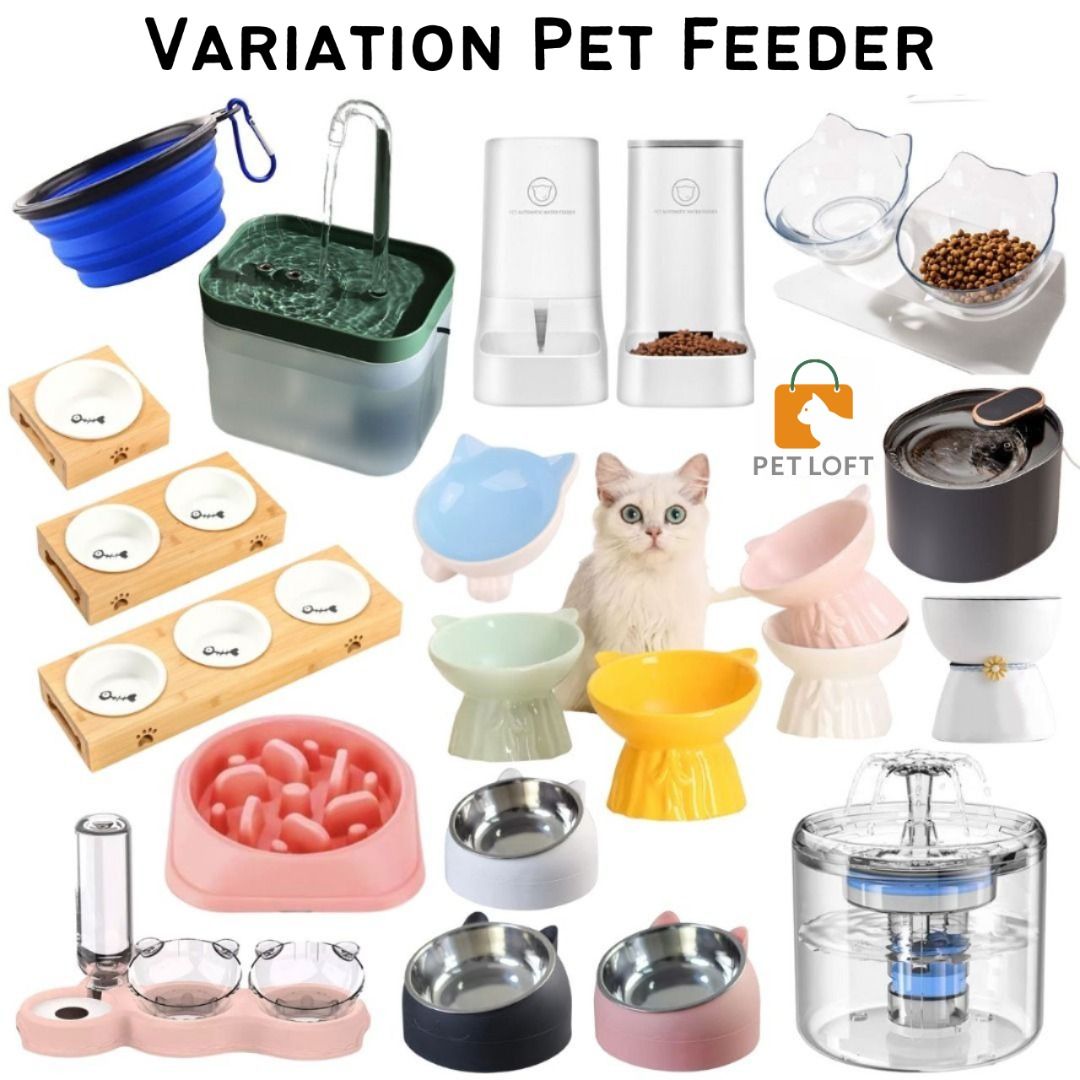 Elevated dog 2025 water dispenser