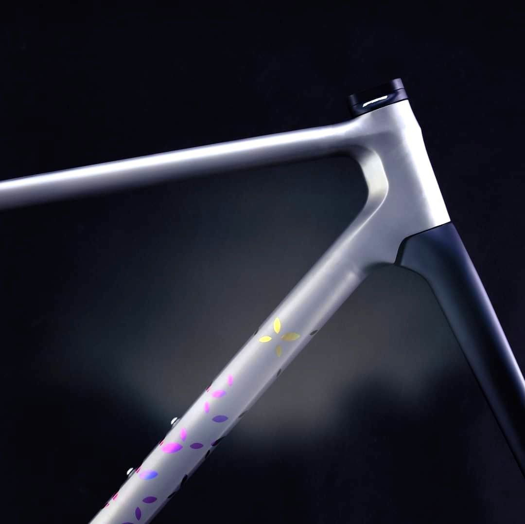 Litespeed fork outlet