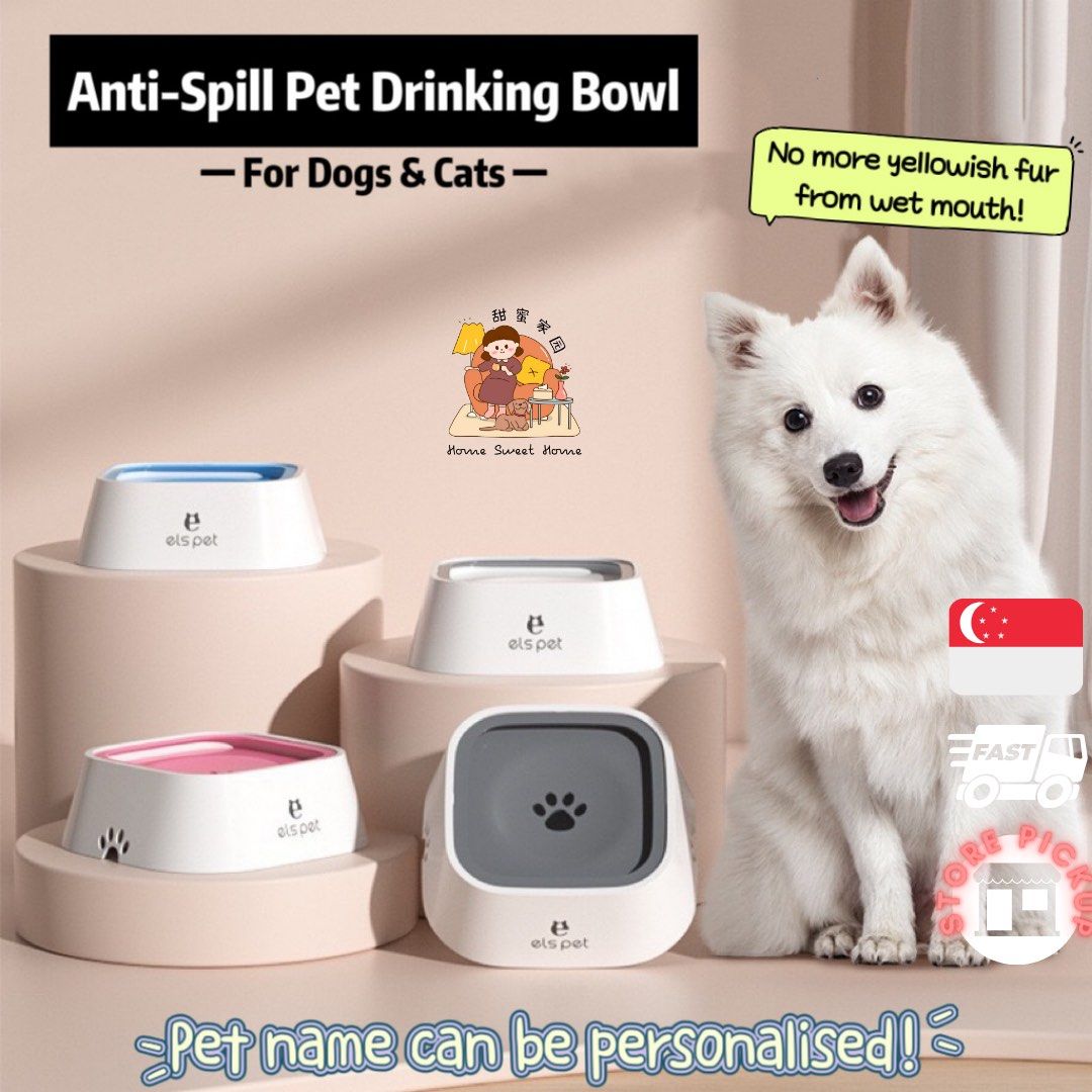 SG Pet Bowl Personalised Pet Bowl Dog Drinking Bowl Cat