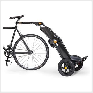Bicycle golf cheap bag