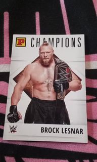 WWE Panini cards
