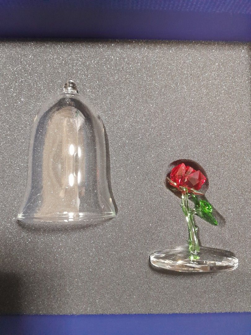 beauty and the beast enchanted rose for sale