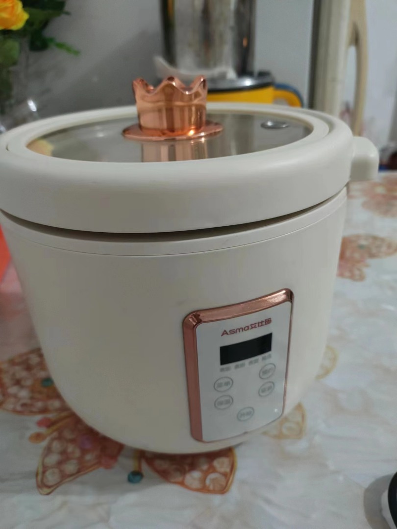 200W Rice Cooker Multi purpose, TV & Home Appliances, Kitchen
