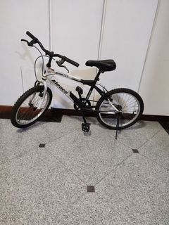 Aleoca 20" bicycle