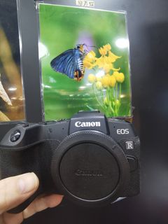 （分類：）位於 。 由 shamwo_114 提交（商品編號 1265032009，圖片 1）。簡介： 。