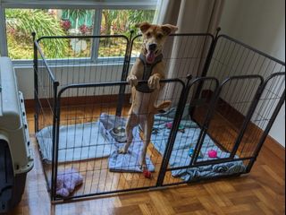 (Category: ) located in . Submitted by fuliflatmate (Listing ID 1265039514, Image 1). Description: .
