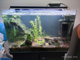 (Category: ) located in . Submitted by fazodyssey (Listing ID 1265079071, Image 1). Description: .