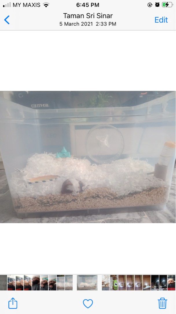 Storage box store hamster cage