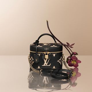 Louis Vuitton] Louis Vuitton Speedy 25 M43017 Epi Leather Castillian –  KYOTO NISHIKINO