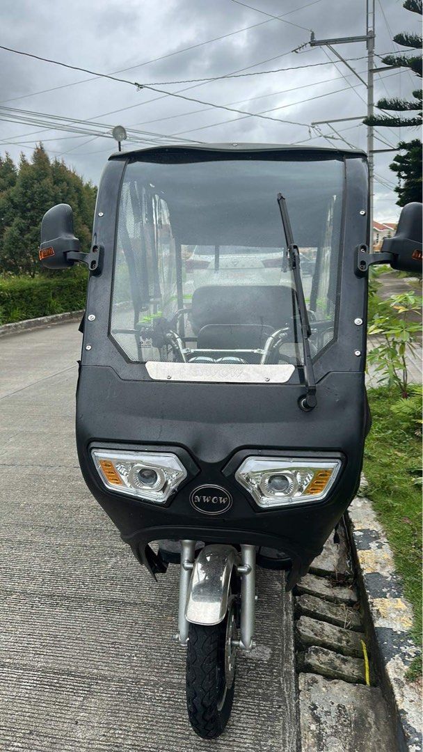 Erv ebike for sale new arrivals