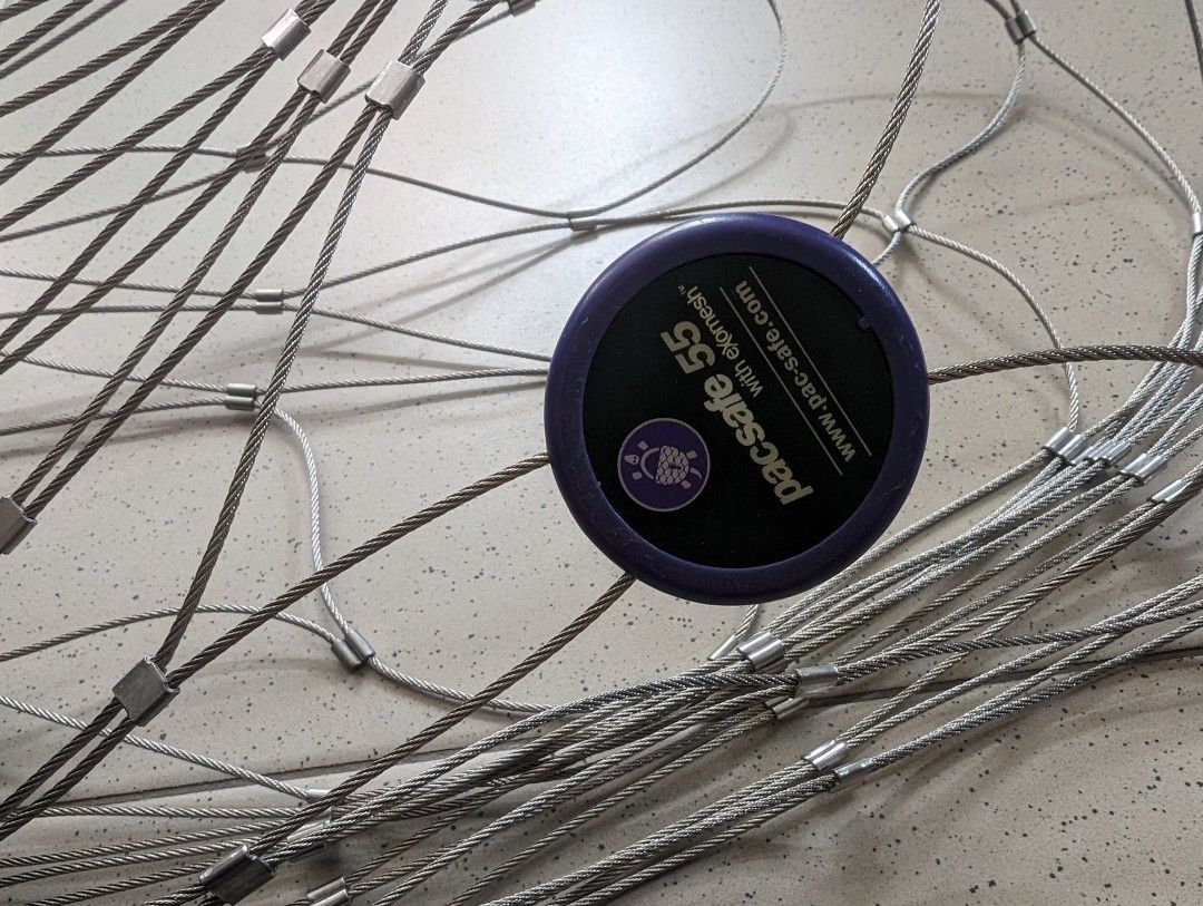 Pacsafe 55 2025
