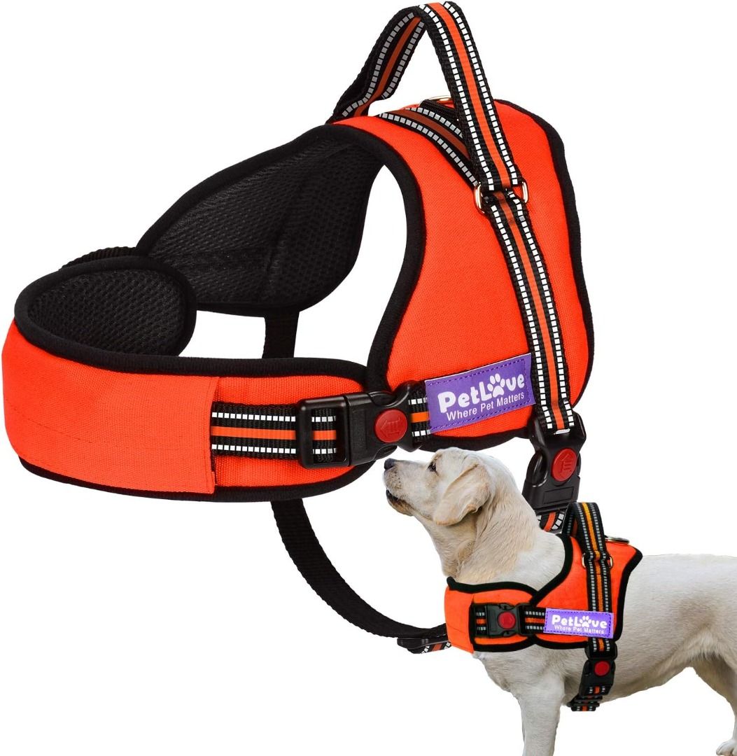 Xxxsmall dog discount harness