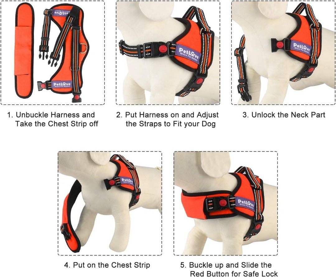 Pet love harness on sale