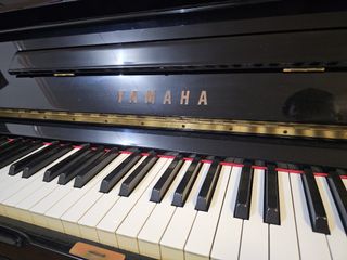 （分類：）位於 。 由 james_2024 提交（商品編號 1265093866，圖片 1）。簡介： 。