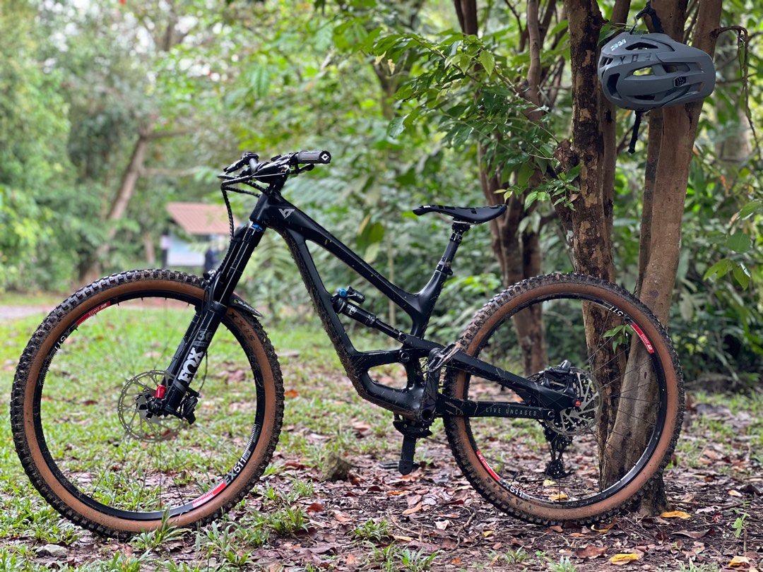 Yt top 2020 capra
