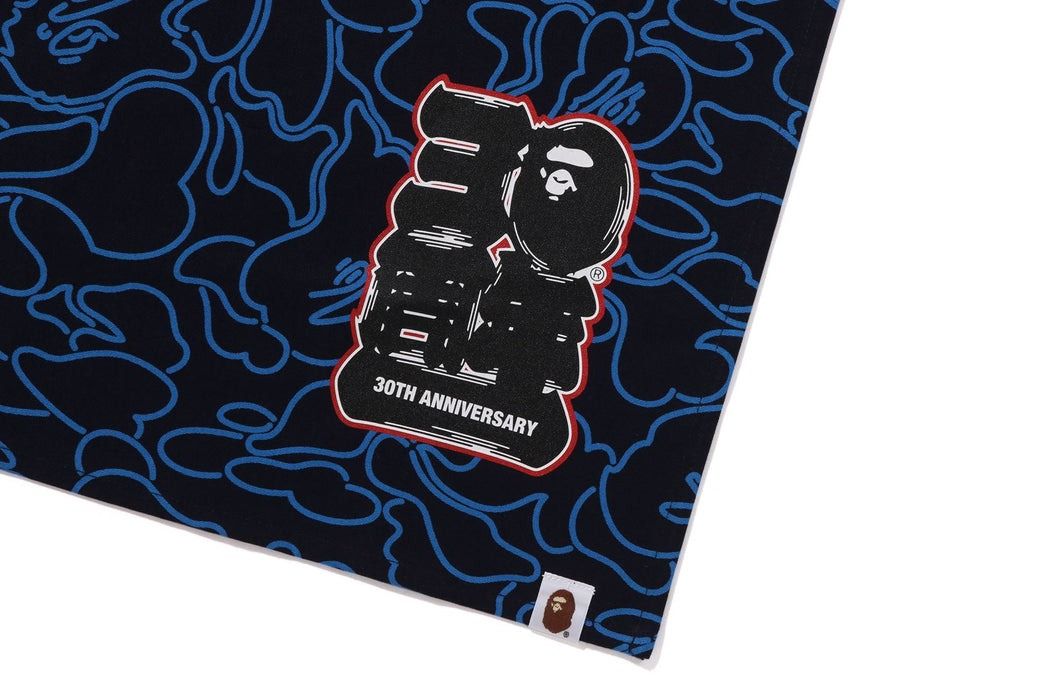 🇯🇵日本代購A BATHING APE BAPE 30TH ANNIV. CAMO NOREN 30週年紀念