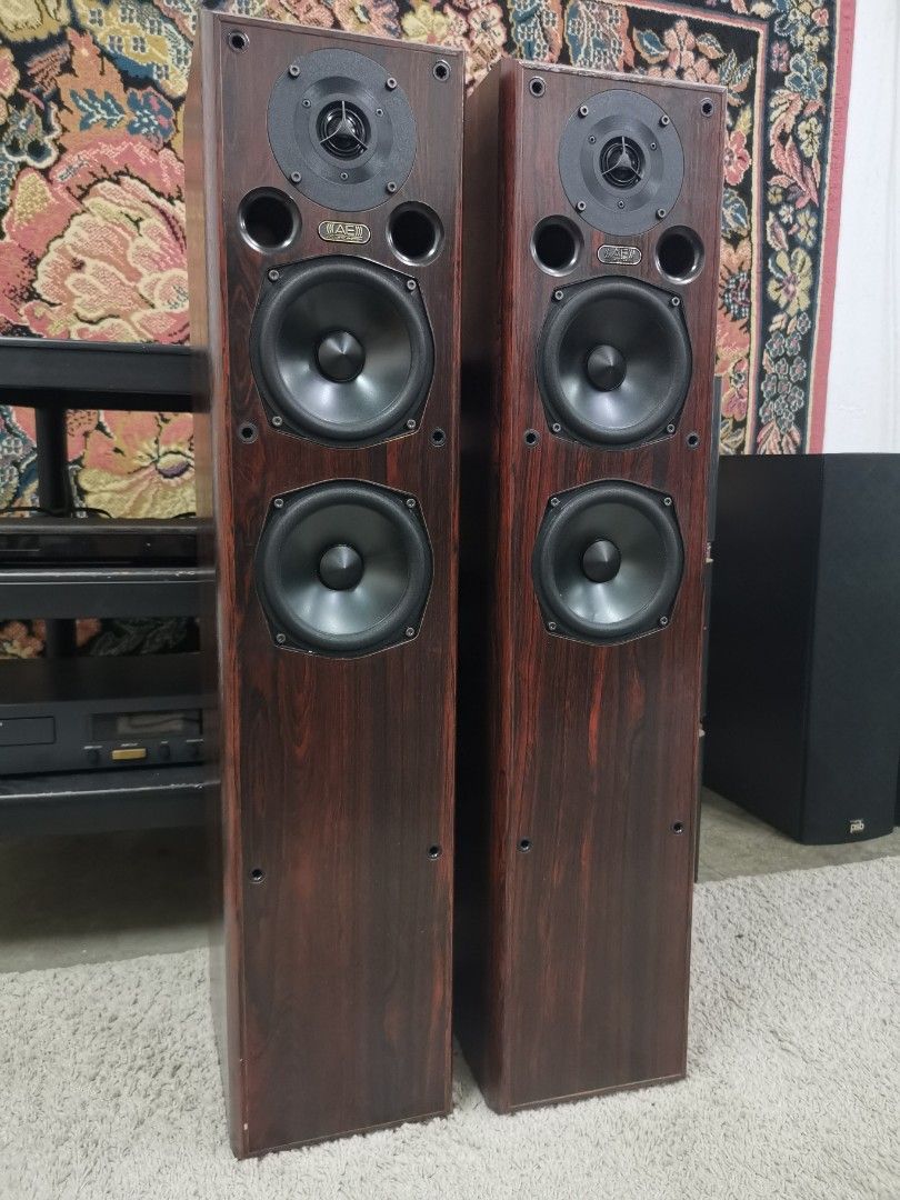 AE acoustic energy 209 floorstand