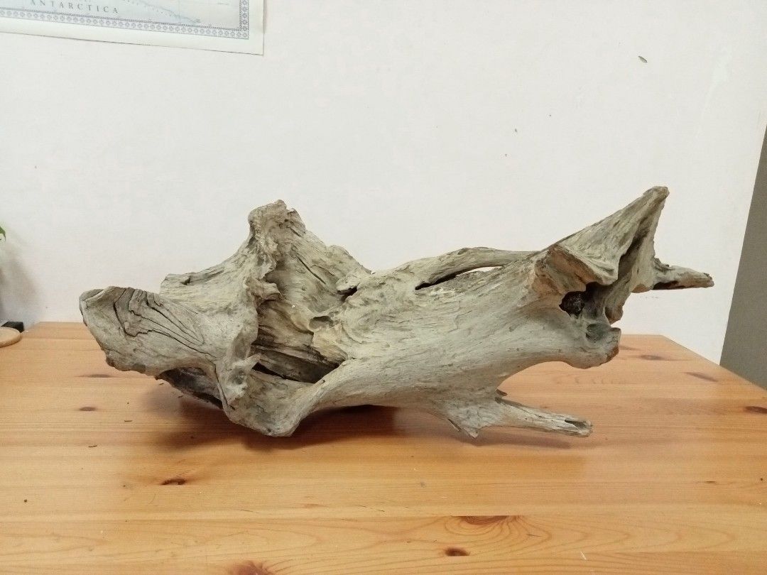 Aquarium Driftwood, Furniture & Home Living, Gardening, Gardening Tools