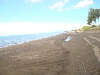 Beach lot 12.7 hectares titled for 100pesos per sqm in Narra Palawan