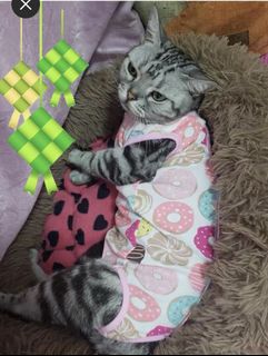 (Category: ) located in . Submitted by kitten.essential (Listing ID 1265327220, Image 1). Description: .