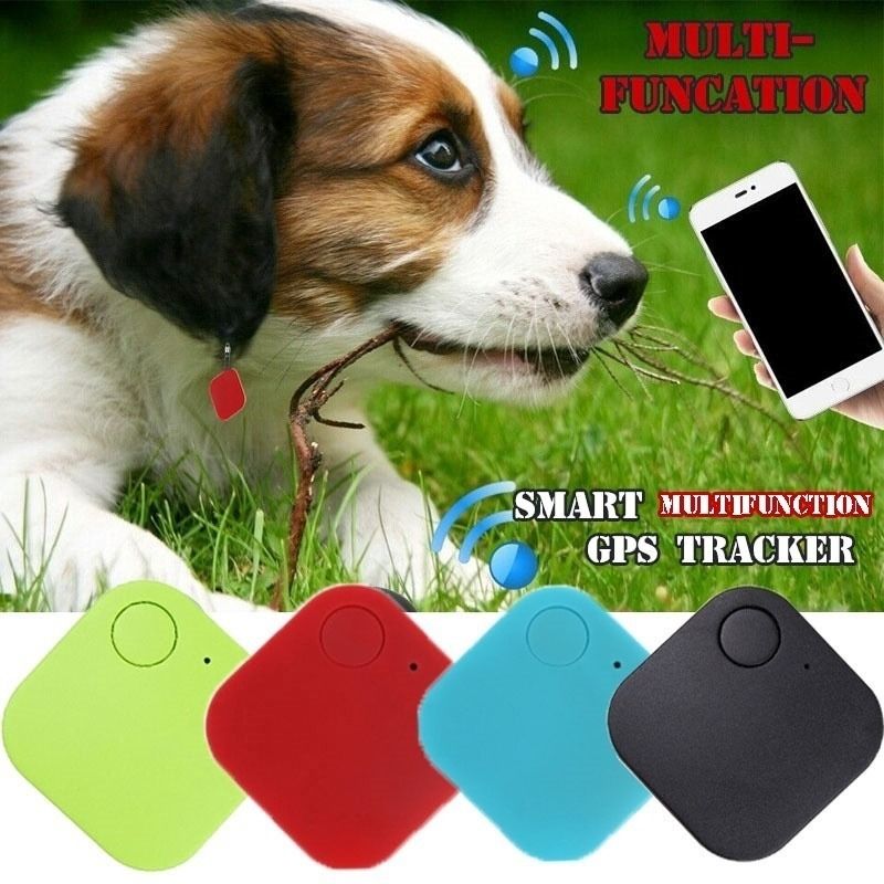 Vehicle shop dog tracker