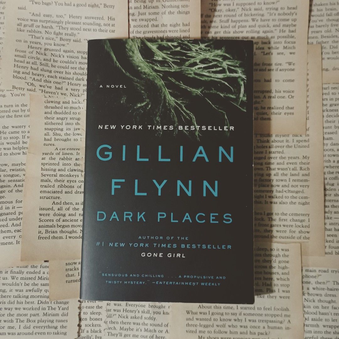 Dark Places novel displayed with other items
