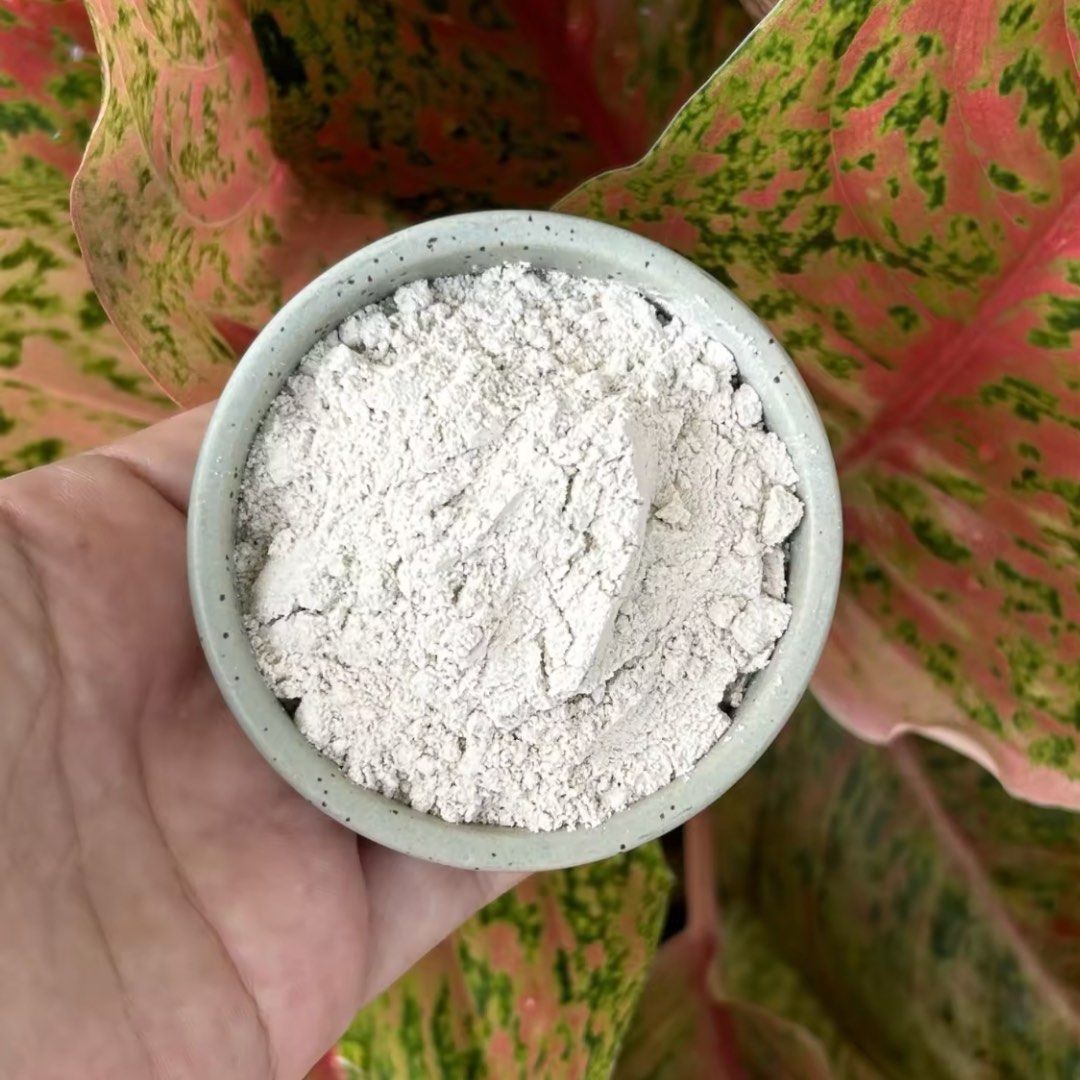 400+好評店🔥現貨✨可擕上機💕澳洲食品級矽藻土、硅藻土Diatomaceous earth 300g 物理滅蟲 | DE粉: 專門除床蝨 床蟲 臭蟲 跳蚤 跳虱 床虱 （分類：清潔工具）位於 Hong Kong。 由 ondotrading 提交（商品編號 1265240894，圖片 3）。簡介： ✨非常感謝大家嘅支持及信任🥰 👉🏻本店開業至今獲得400好評👈🏻 ⚜️植根香港，誠信經營，信心保證⚜️ —————————————————————————— 📢由於受Carousell賣家回覆訊息配額限制 🚫滿額時可能無法立刻回覆🥹🥲🥲🥲🥲 ✨急單客戶可直接聯絡📞5️⃣5️⃣2️⃣8️⃣➖1️⃣0️⃣2️⃣0️⃣👈🏻✨ —————————————————————————— 近年全球暖化，害蟲孳生越來越嚴重，床蝨肆虐。無論是居家還是旅行，都有機會受到攻擊。發現床蝨，可以自行使用矽藻土（又稱硅藻土），即俗稱「DE粉」滅牀蝨。 產地：澳洲 規格：300克/$80包