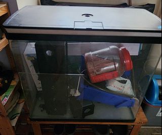 (Category: ) located in . Submitted by rickson_tay (Listing ID 1265229733, Image 1). Description: .