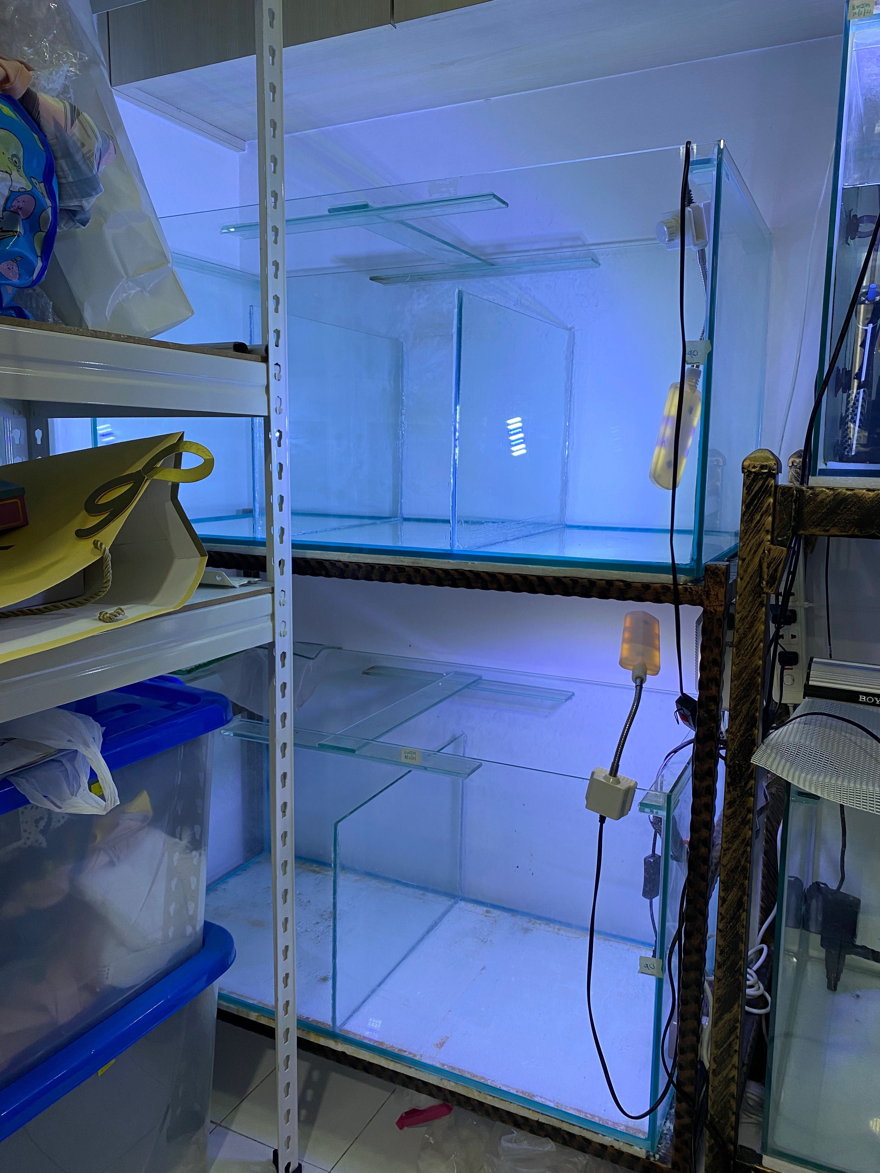 Fish tank 3ft with partition, Pet Supplies, Homes & Other Pet