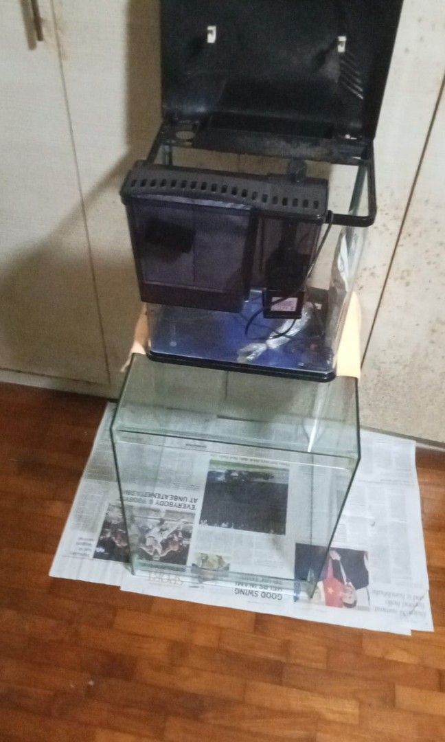 Fish tanks with hang on filter, Pet Supplies, Homes & Other Pet
